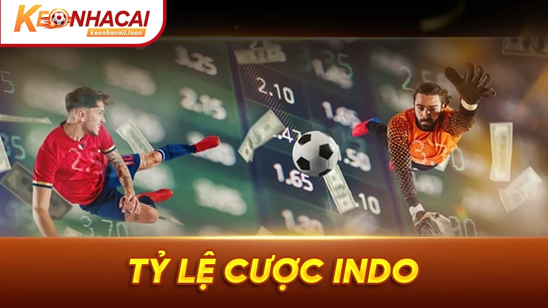 Tỷ lệ Indo được chia thành hai mức là số dương và số âm